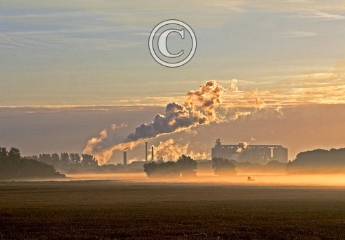 Wissington Sugar Beet Factory at Daybreak DM1266